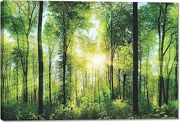 Amazon.co.jp: 山 絵 森林 ポスター 太陽 壁掛け 自然 風景 アート